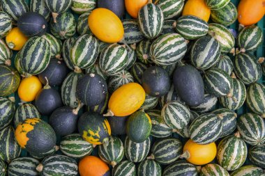 Renkli kabak ve iliği bir Pazar