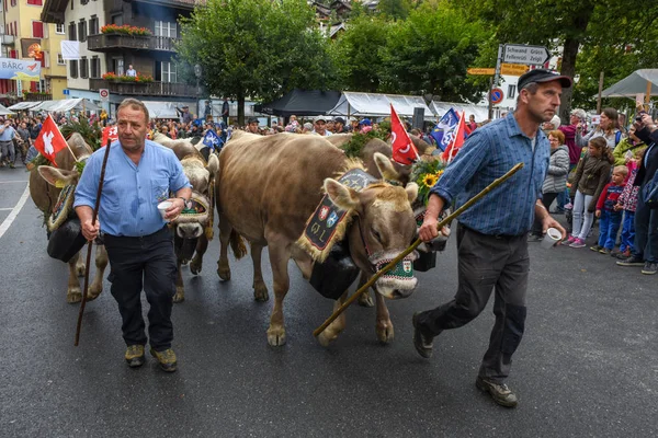 Farmers with a herd of cows on the annual transhumance at Engelb — Stock Photo, Image