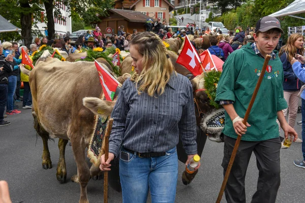 Farmers with a herd of cows on the annual transhumance at Engelb — Stock Photo, Image