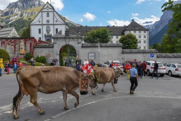 Agricultores con una manada de vacas en la trashumancia anual en Engelb —  Fotos de Stock