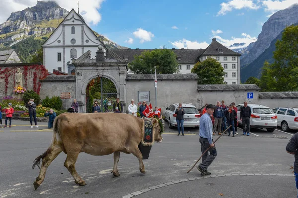 Jordbrukare med en flock kor på den årliga betesområden på engelb — Stockfoto