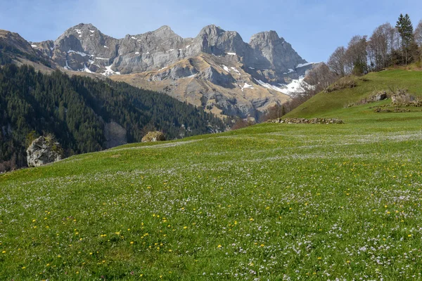 Paisaje Montañoso Engelberg Los Alpes Suizos —  Fotos de Stock
