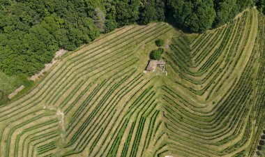 İsviçre 'de Lugano Gölü' ndeki Morcote şarap mahzeninde gerçek bir manzara.