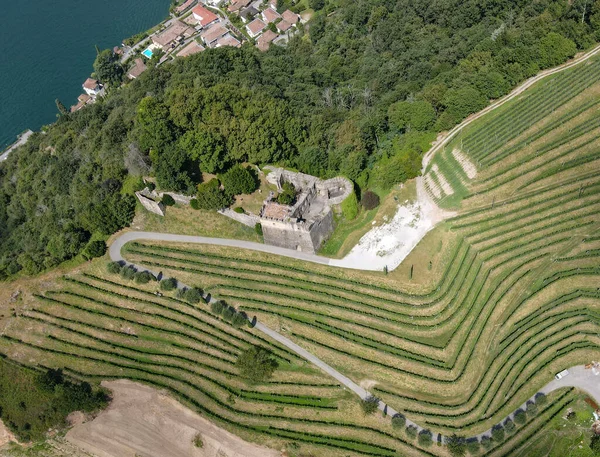 Una Vista Real Viñedo Castillo Morcote Lago Lugano Suiza — Foto de Stock