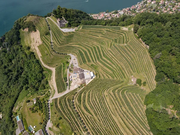 スイスのルガーノ湖のワイナリーとモルコートの城で実際のビュー — ストック写真