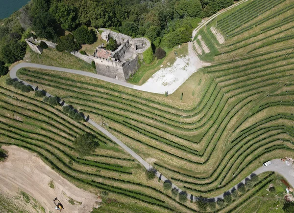 Vista Real Vinhedo Castelo Morcote Lago Lugano Suíça — Fotografia de Stock