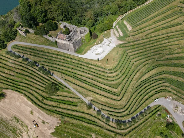 Vista Real Vinhedo Castelo Morcote Lago Lugano Suíça — Fotografia de Stock