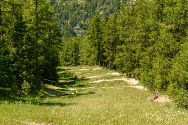 Zermatt Switzerland July 2020 People Driving Mtb Flow Trail Zermatt — 图库照片