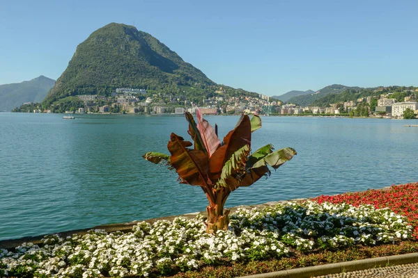 Botanische Tuin Het Meer Van Lugano Zwitserland — Stockfoto