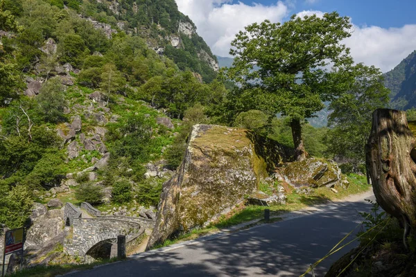 Sviçre Nin Talya Bölgesindeki Bavona Vadisi Nde Eski Bir Köprü — Stok fotoğraf