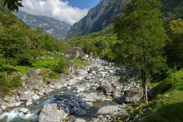 Řeka Bavonském Údolí Italské Části Švýcarska — Stock fotografie