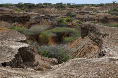 Etiyopya 'daki Omo Ulusal Parkı' nın manzarası