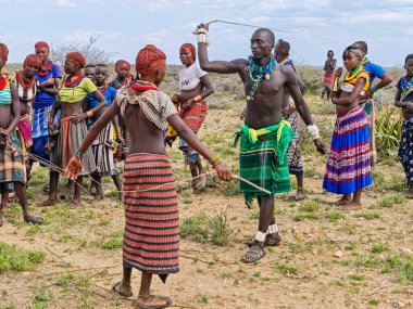 Dande, Etiyopya - 14 Ağustos 2025: kadın, Etiyopya yakınlarındaki Dande 'de düzenlenen boğa atlama töreninde onları kırbaçlaması için erkeği paketliyor.