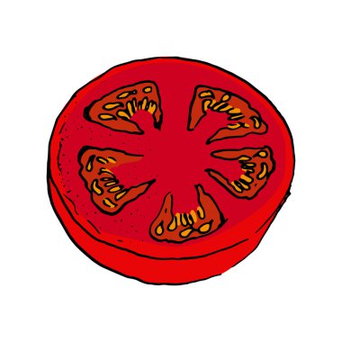 Domates karalama stilinin gorizon rengi çizimi. El çizimi. izole