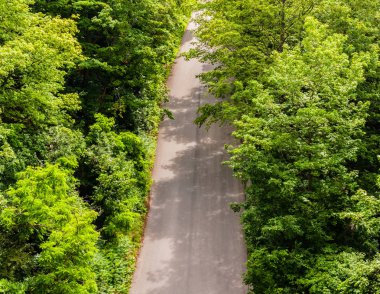 Boş işaretsiz asfalt yol yoğun orman ve çalılar yukarıdan izlendi.