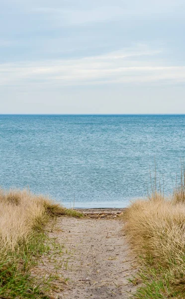 Camino Arena Vacío Entre Hierba Que Conduce Playa Horizonte Agua — Foto de Stock