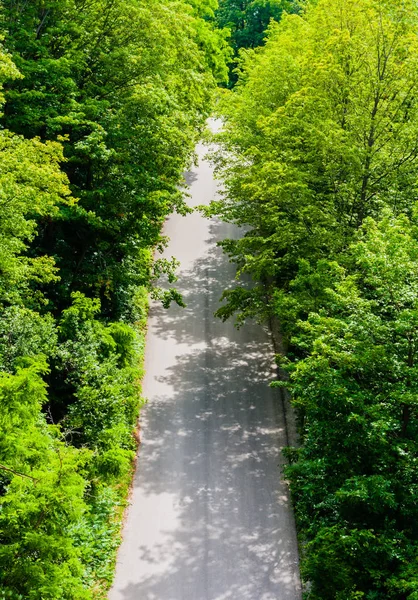 Empty Unmarked Asphalt Road Dense Forest Bushes Viewed — Stock Photo, Image