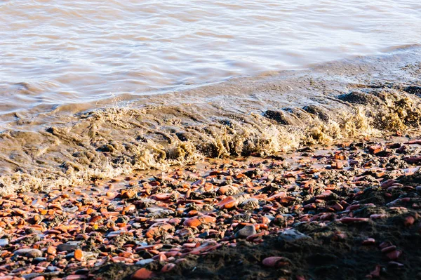 Jeziora Błotnistej Wody Fale Rozpryskiwania Plaży Małych Czerwonych Skał Cieniu — Zdjęcie stockowe