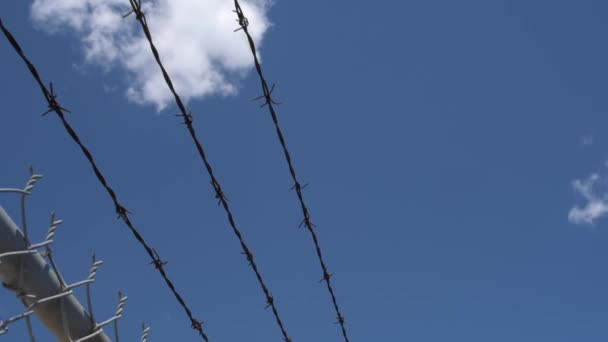 Pemandangan Genggam Yang Bergerak Sepanjang Puncak Pagar Kawat Berduri Terhadap Stok Video C Archoncodex 394891532