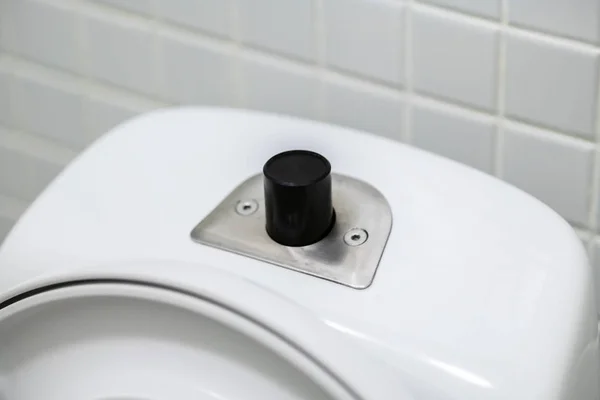 Flush Button Toilet Bowl Tank Flushing Toilet — Stock Photo, Image