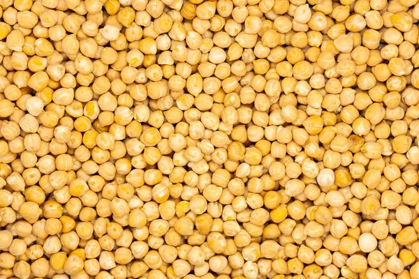 Chickpea 매크로 병아리콩은 비타민 미네랄 섬유질의 풍부한 원천입니다 통제를 — 스톡 사진