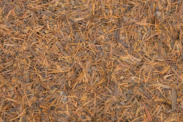 Lapacho bitki çayı, yakın çekim, makro. Sağlıklı Güney Amerika çay içecek doğal antibiyotik, Anti aging etkisi olarak kullanılan ve bağışıklık sistemini güçlendirir.