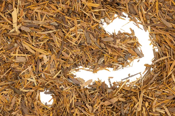 Чай Корой Катуабы Изолированный Вопросительный Знак Натуральный Травяной Чай Коры — стоковое фото