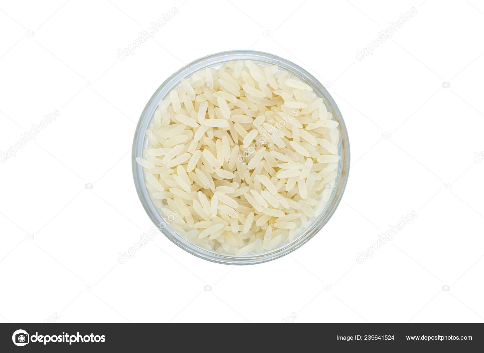 White Rice Steamed Close Isolated Healthy Nutrition Weight White Rice Steamed Close Isolated Healthy Nutrition Weight