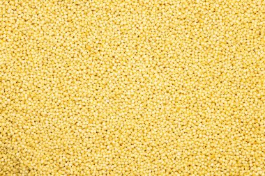 Darı kabuğu çıkarılmış tane, en iyi görünümü kadar yakın. Gluten Free ve alerjik olmayan tahıl kullanımda vejetaryen mutfağı.