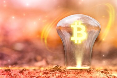 Bitcoin işareti kavramı kopya alanı ile. Bitcoin logo ampul topraktan büyüyen içinde. Sonbahar arka plan.