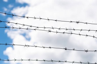 Dikenli tel ülke sınırında. Barbwire çit kapısı yasadışı yabancılar yasaklanması için üzerinde.