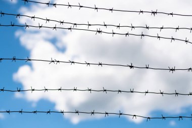 Dikenli tel ülke sınırında. Barbwire çit kapısı yasadışı yabancılar yasaklanması için üzerinde.