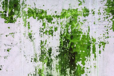 Eski beton duvar ile yeşil boya lekeli. Tasarım doku ev iç veya duvar kağıtları için.