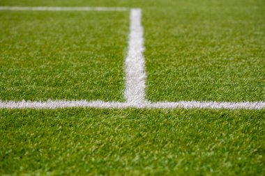 Doku suni çim bitki örtüsünün spor sahası. Farklı spor kullanılır: futbol, tenis, beyzbol, futbol, Amerikan futbol, kriket, golf, çim hokeyi, rugby.