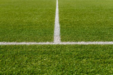 Doku suni çim bitki örtüsünün spor sahası. Farklı spor kullanılır: futbol, tenis, beyzbol, futbol, Amerikan futbol, kriket, golf, çim hokeyi, rugby.