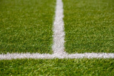 Doku suni çim bitki örtüsünün spor sahası. Farklı spor kullanılır: futbol, tenis, beyzbol, futbol, Amerikan futbol, kriket, golf, çim hokeyi, rugby.