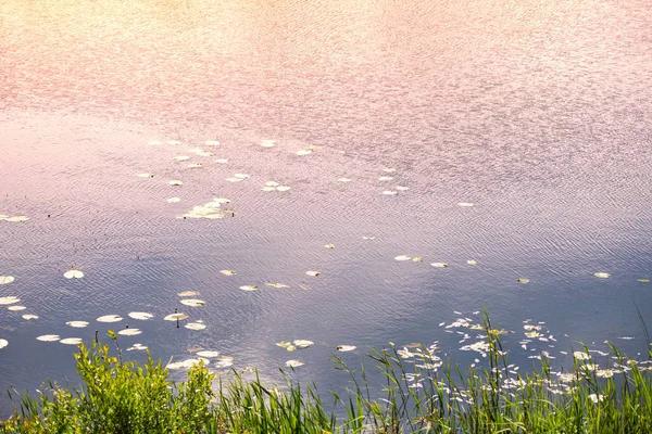 Superfície Água Com Sol Rio Urbano Poluído Drenagem Planejada Leito — Fotografia de Stock