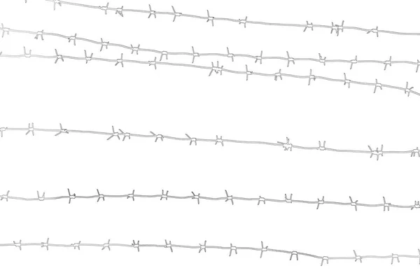 Bílá Samostatný Ostnatý Drát Hranici Země Barbwire Plot Pro Zákaz — Stock fotografie