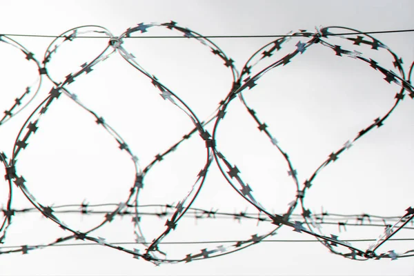 Filo Spinato Sul Confine Campagna Barbwire Sulla Recinzione Divieto Attraversamento — Foto Stock