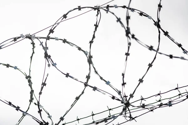 Barbed wire on country border. Barbwire on fence for prohibition of illegal aliens crossing.