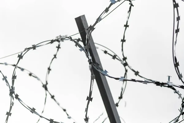 Drut Kolczasty Granicy Kraju Barbwire Ogrodzenie Dla Zakazu Nielegalnych Cudzoziemców — Zdjęcie stockowe