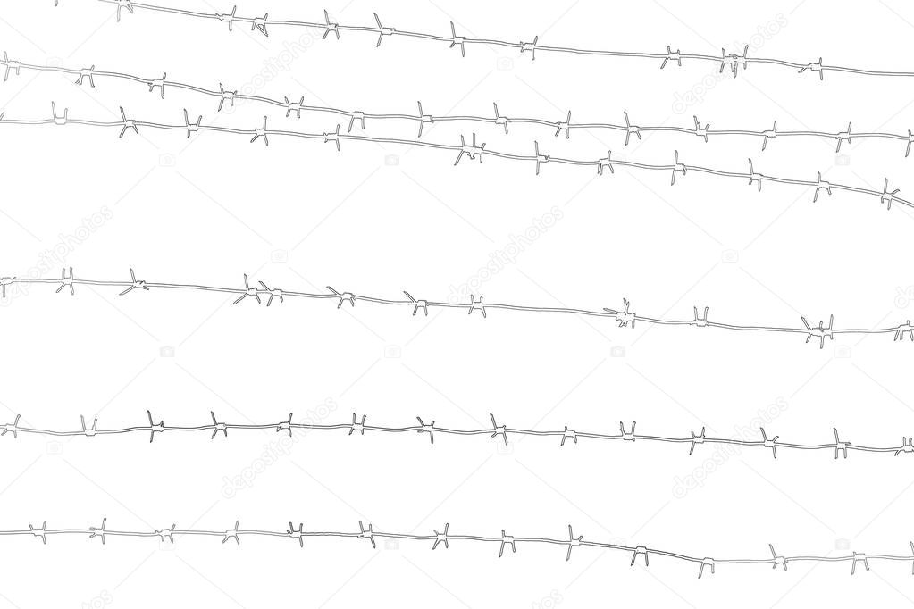 White isolated barbed wire on country border. Barbwire on fence for prohibition of illegal aliens crossing.