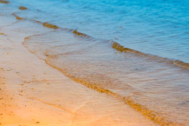 Deniz kenarındaki güzel yaz coast altın deniz kum ile. Açık tatilde plajda dinlenebilir ya da rahatla. Yakın çekim