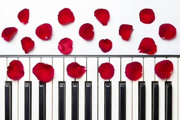 Klaviertasten mit roten Rosenblütenblättern, isoliert, Draufsicht, Kopie — Stockfoto