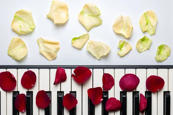 Клавиши для фортепиано с лепестками красного и белого цветов розы, изолированные, сверху — стоковое фото