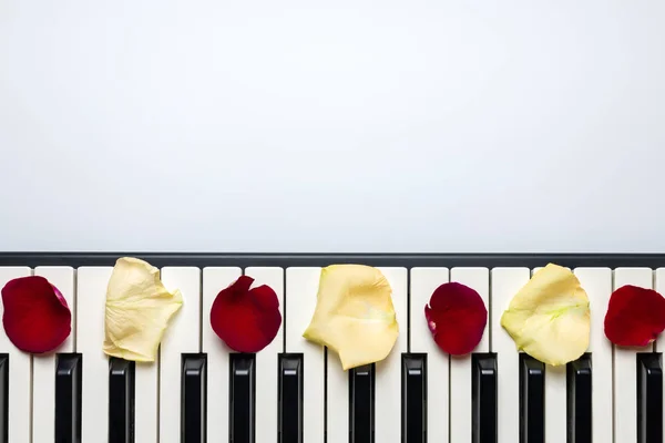 Klaviertasten mit roten und weißen Rosenblütenblättern, isoliert, oben — Stockfoto