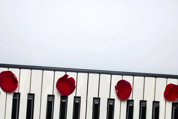 Klaviertasten mit roten Rosenblütenblättern, isoliert, Draufsicht, Kopie — Stockfoto