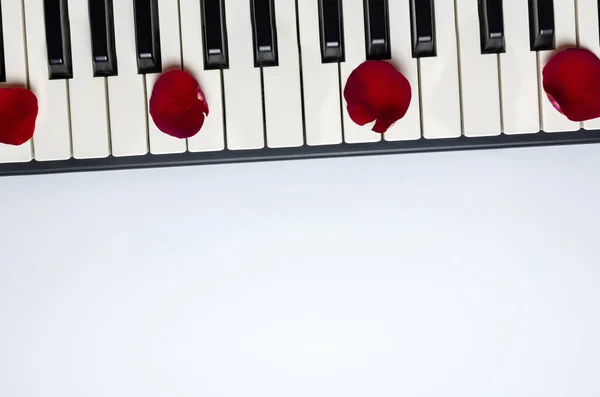 Zongora billentyűk piros rózsa virágszirmok, elszigetelt, felülnézet, másolás — Stock Fotó