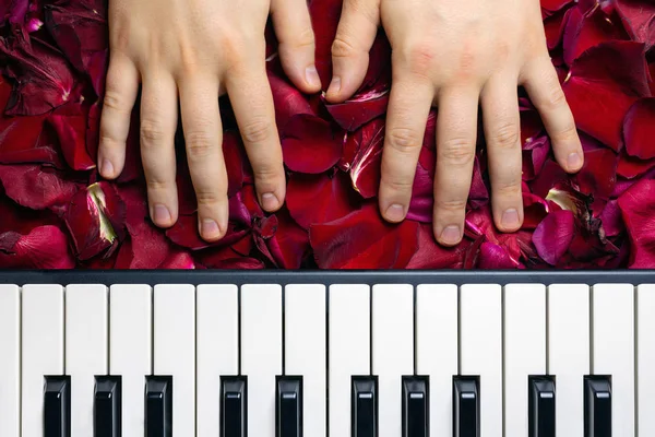 Pianist Hände auf roten Rosenblütenblättern. romantisches Konzept mit p — Stockfoto