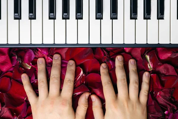 Pianist Hände auf roten Rosenblütenblättern. romantisches Konzept mit p — Stockfoto